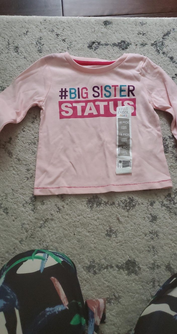 Girls' Pink "Big Sister" Long-Sleeve Tee Size 18 Months New